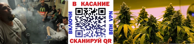 Купить закладку Каннабис  Псилоцибиновые грибы  ГАШИШ  МЕФ  COCAIN  Невьянск