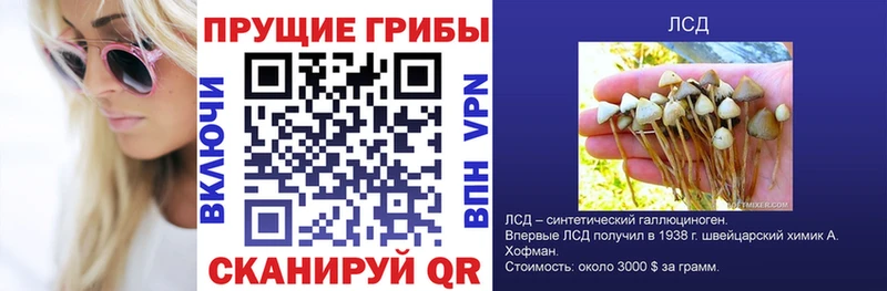 Псилоцибиновые грибы мицелий  Купить  Невьянск 
